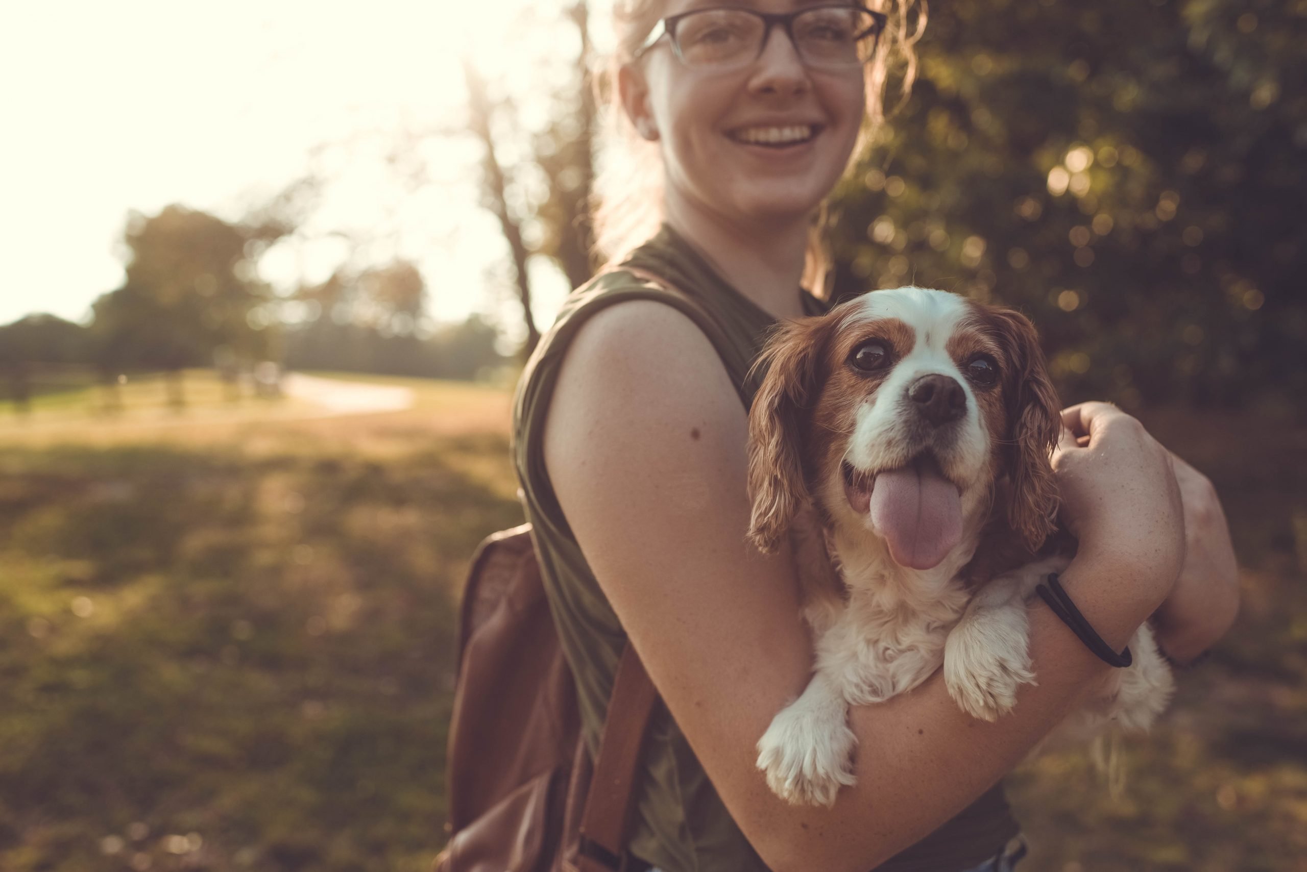 Therapy Dogs Therapy Dogs