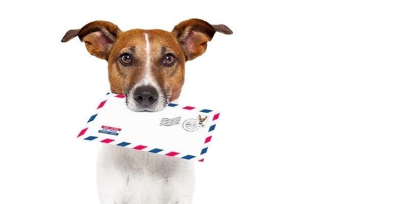 Receive an ESA Letter