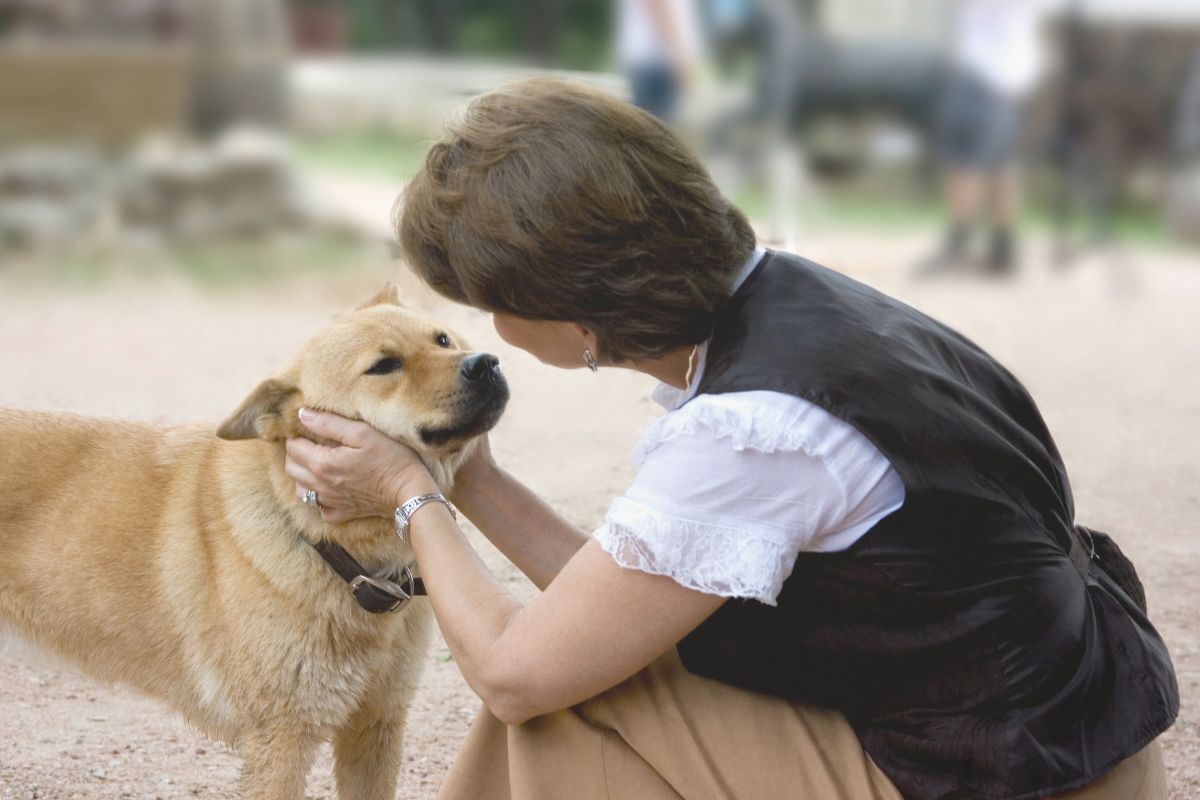 Can a Landlord Refuse Emotional Support Animals Due to Breed, Weight, or Size-image Can a Landlord Refuse Emotional Support Animals Due to Breed, Weight, or Size