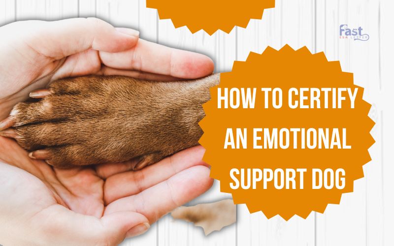 How To Certify An Emotional Support Dog Fast ESA Letter