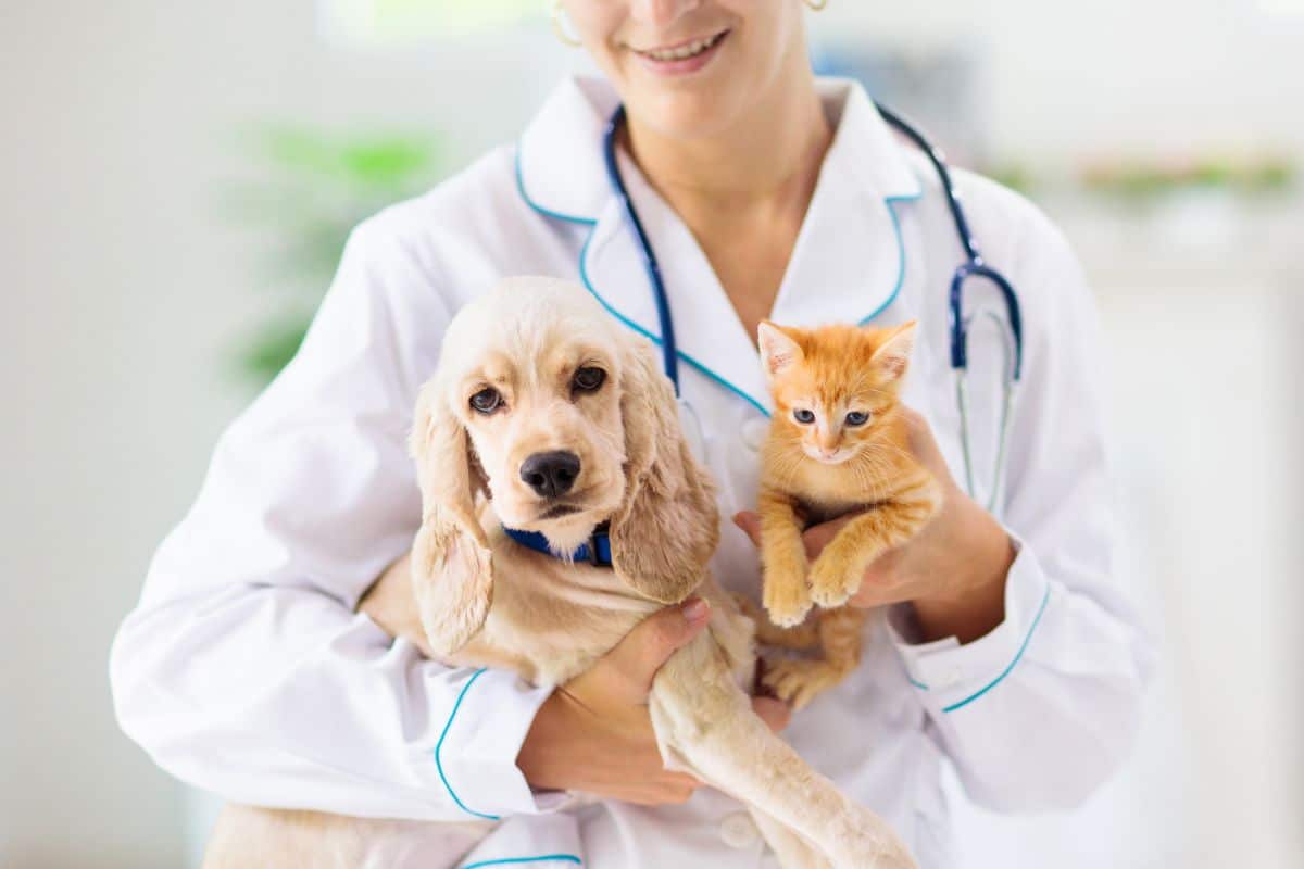 Ask Doctor for Emotional Support Animal Ask Doctor for Emotional Support Animal