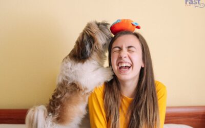 The Role of Emotional Support Animals In Addiction Recovery.
