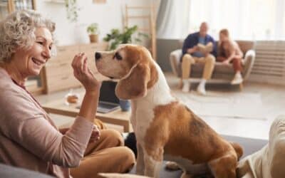 Emotional Support Dog for Depression – What You Need to Know.