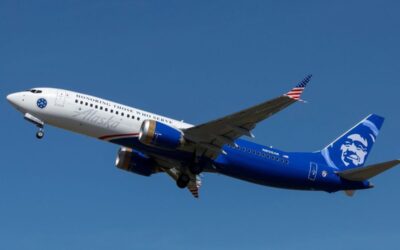 Alaska Airlines Policies: Psychiatric Service Dog And Emotional Support Animal