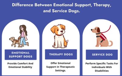 Difference Between Emotional Support, PTSD, Therapy and Service Dogs.