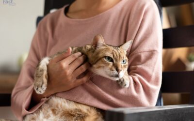 Emotional Support Animals for Cancer Patients: Understanding the Role in Treatment.