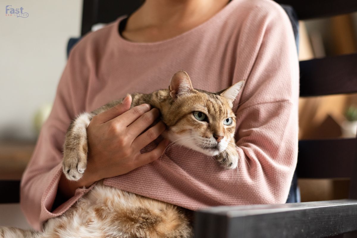Emotional Support Animals for Cancer Patients Emotional Support Animals for Cancer Patients