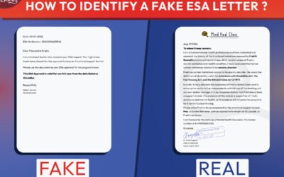 How to Identify a Fake ESA Letter?