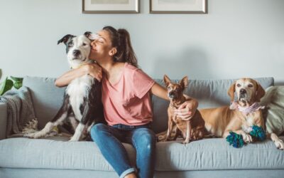 How Many Emotional Support Animals Can I Have at one time?