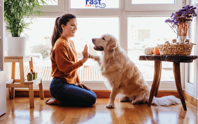 How To Get a Psychiatric Service Dog in California?