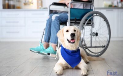 How To Get a Psychiatric Service Dog in California?