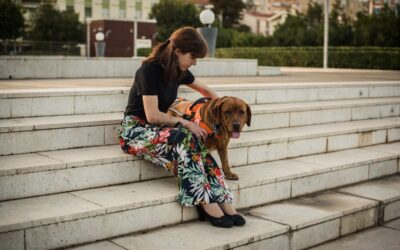 How to Get a Psychiatric Service Dog in Colorado?