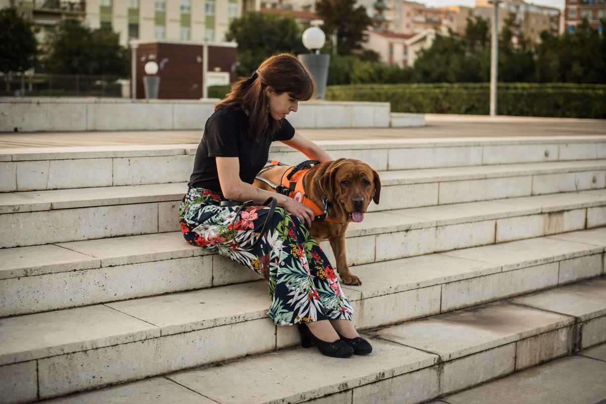 Psychiatric Service Dog in Colorado