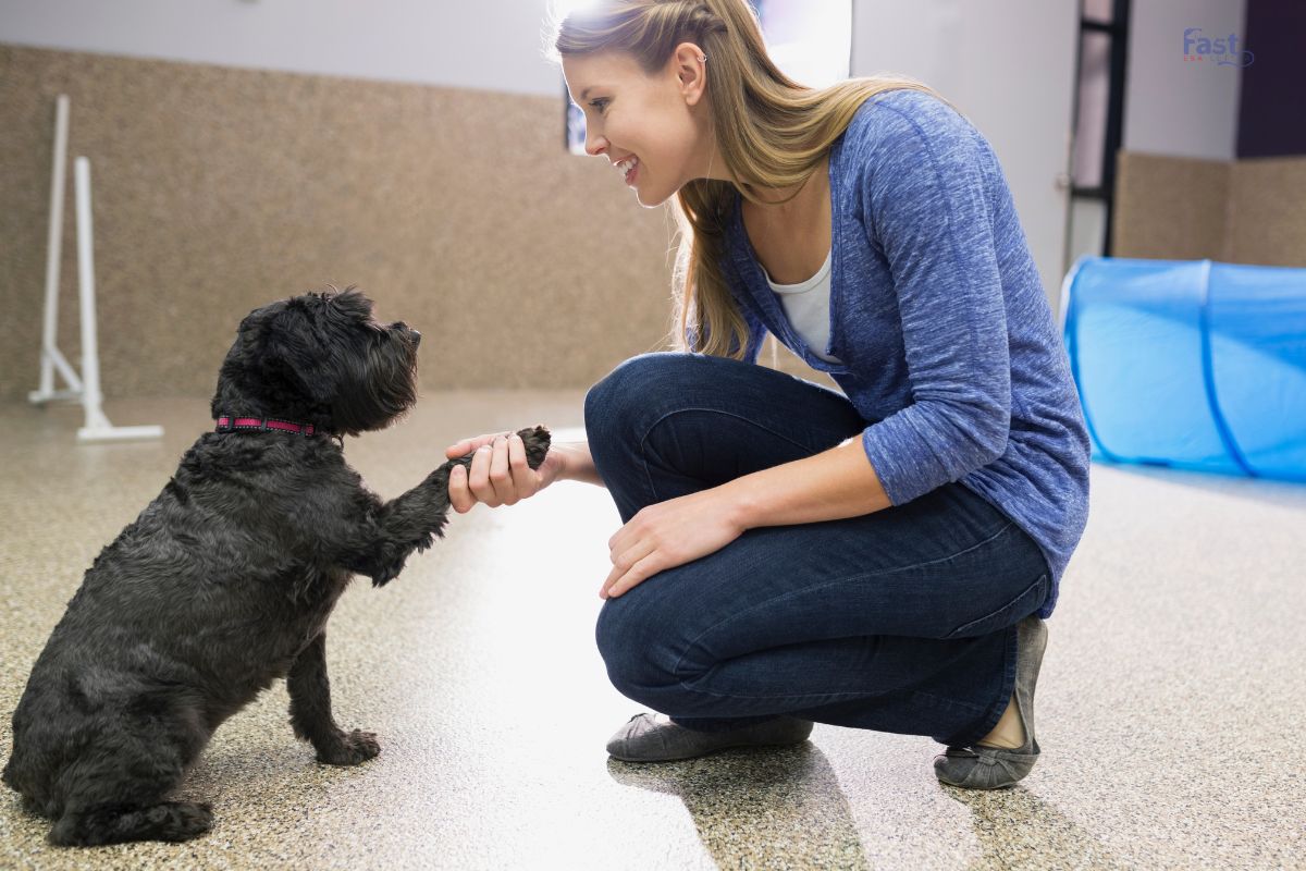 Register Dog as Psychiatric Service Dog Register Dog as Psychiatric Service Dog