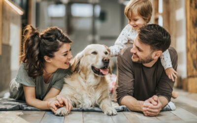 What Should You Know About Emotional Support Animal Certification?