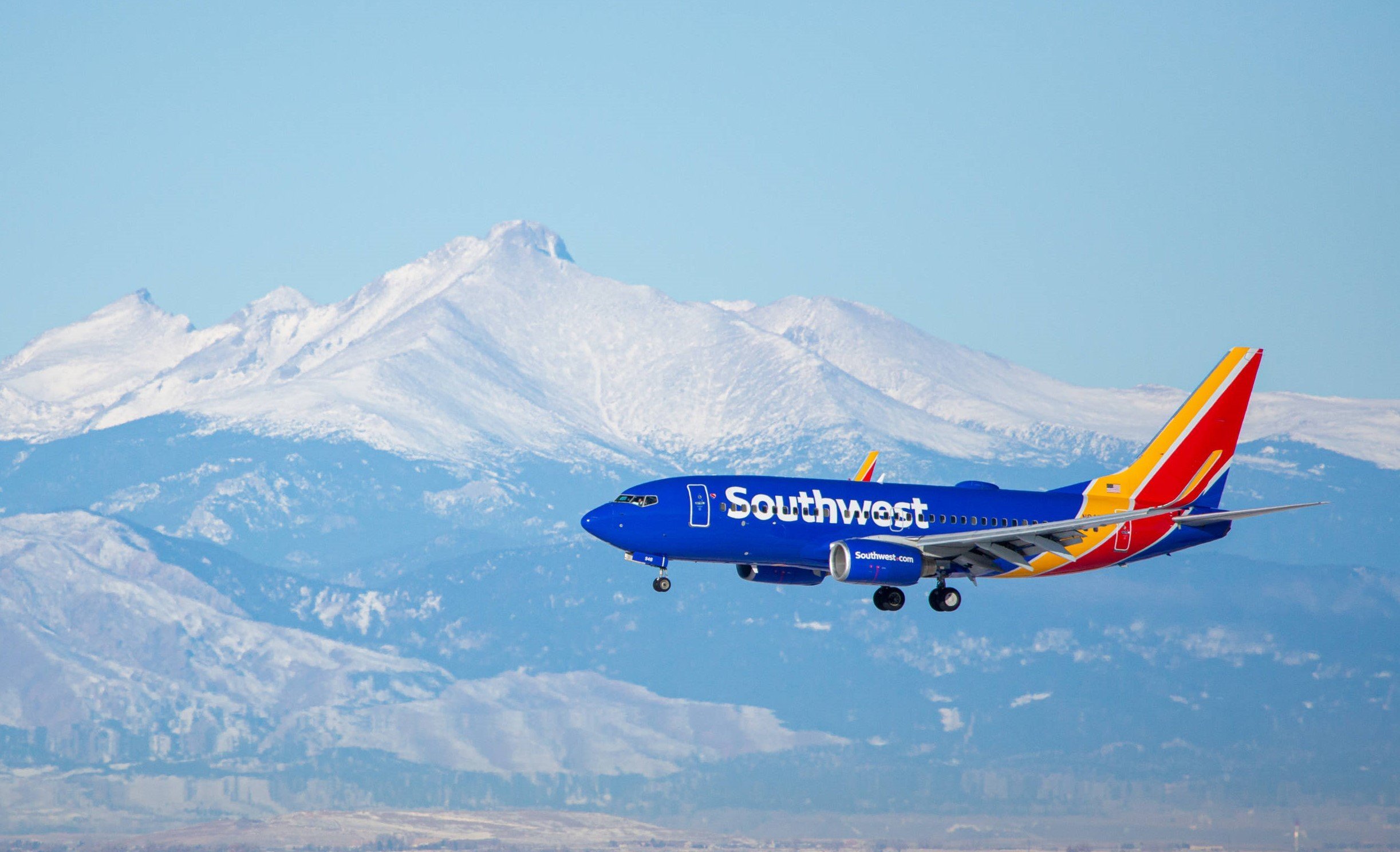 Southwest airlines emotional fashion support dog