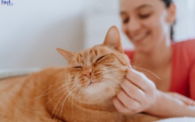 How to Register an Emotional Support Animal?