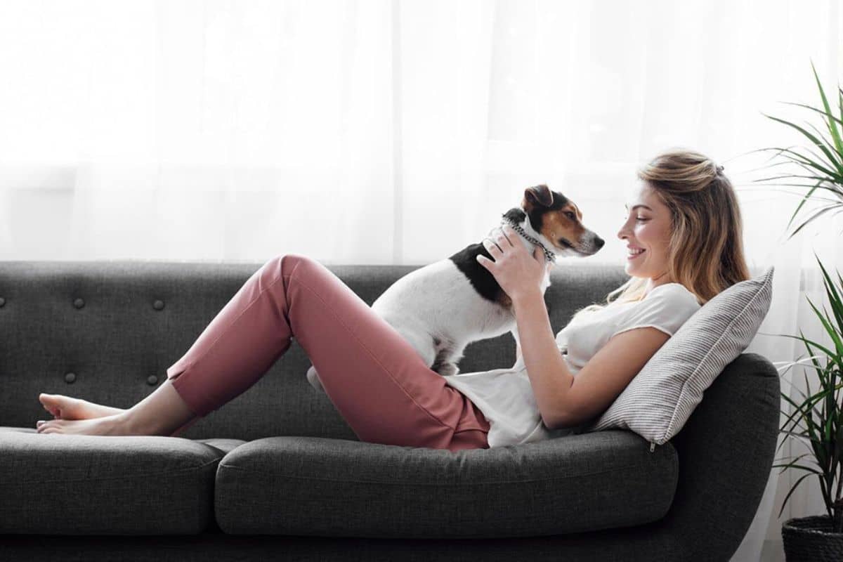 woman holding emotional support animal on couch