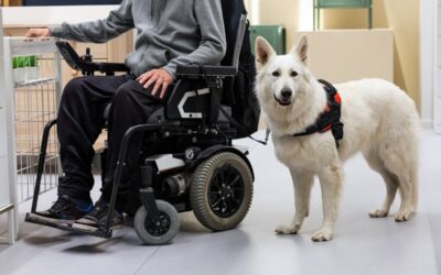 Everything you need to know about Americans with Disabilities Act.