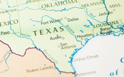 What Are the Texas Emotional Support Animal Laws You Should Know?