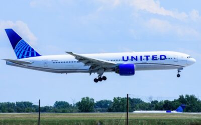 United Airlines Emotional Support Animal and Service Dogs Travel Policy