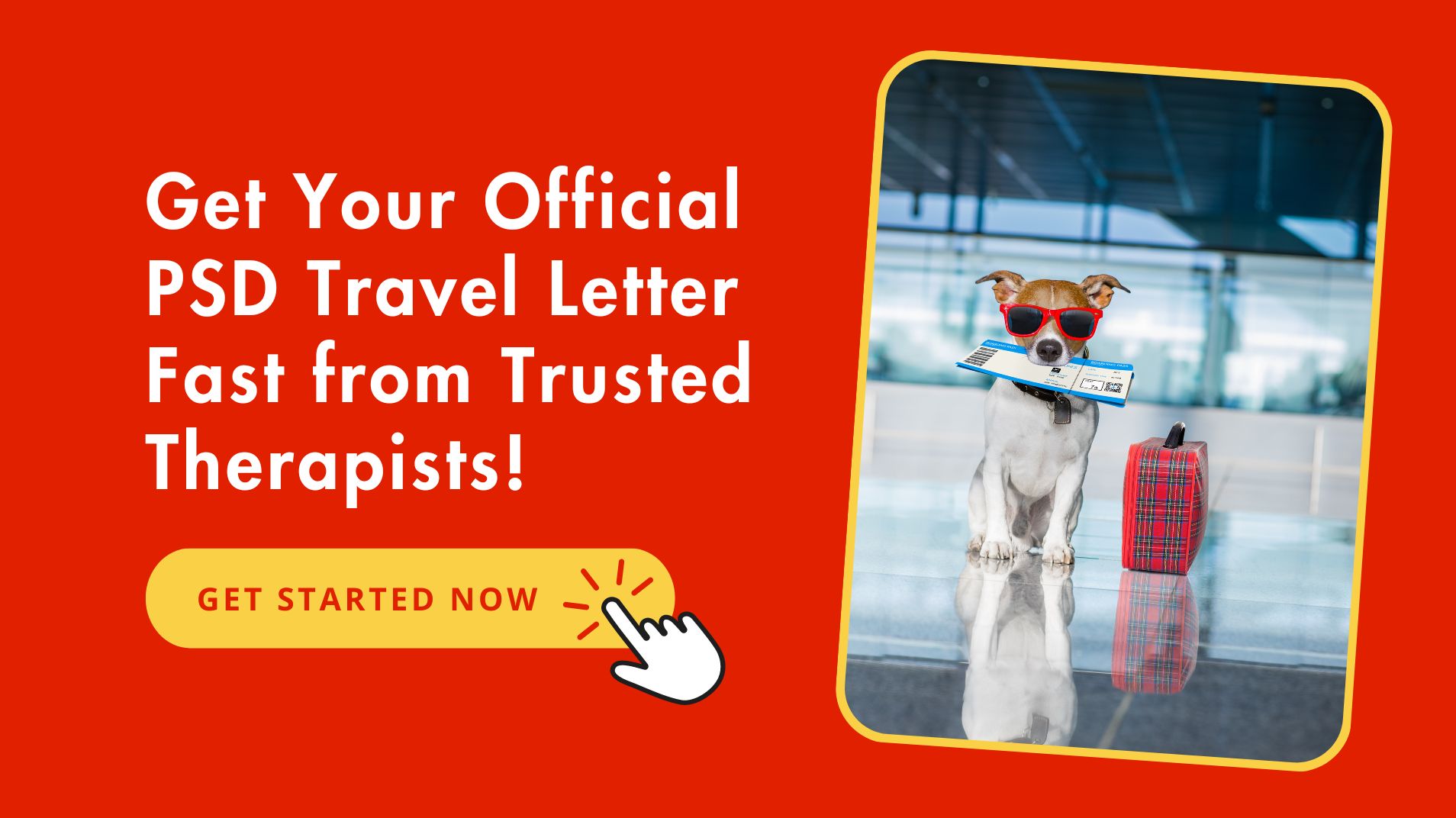 Dog with boarding pass and suitcase at airport terminal