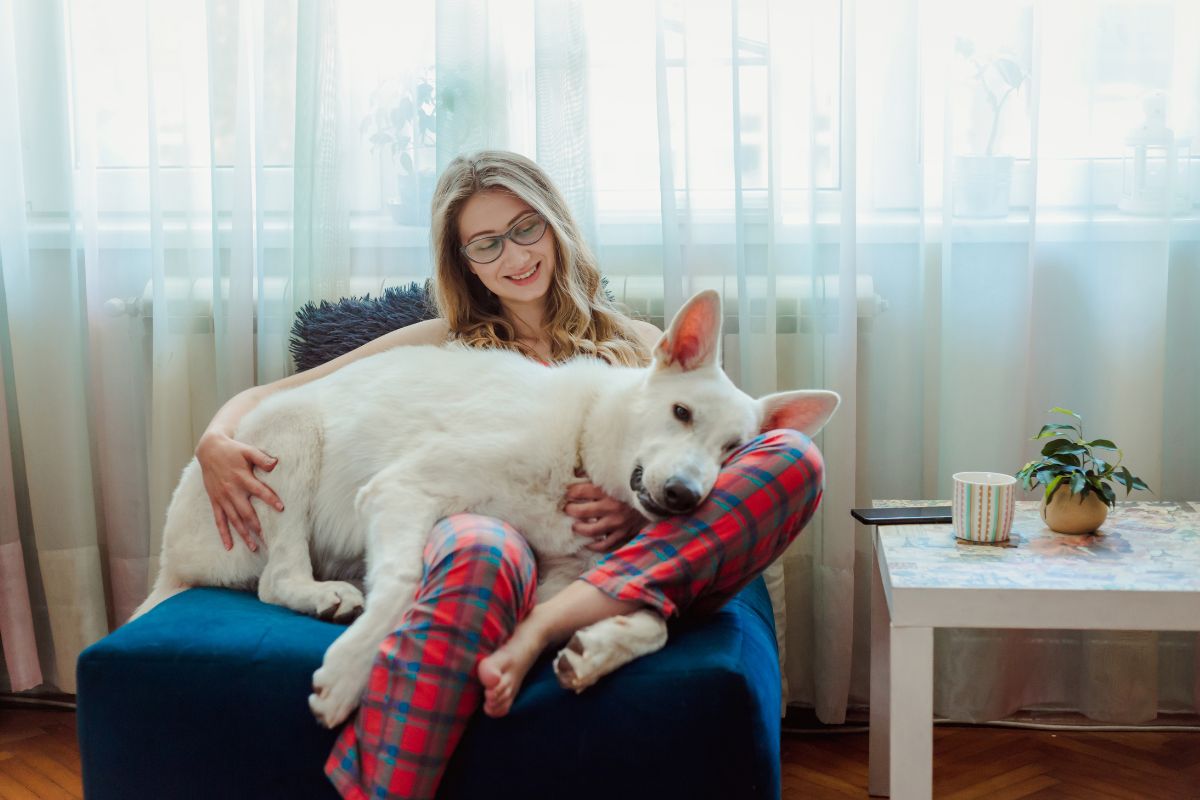 Emotional Support Dog Providing Comfort at Home Woman cuddling with her emotional support dog on a couch