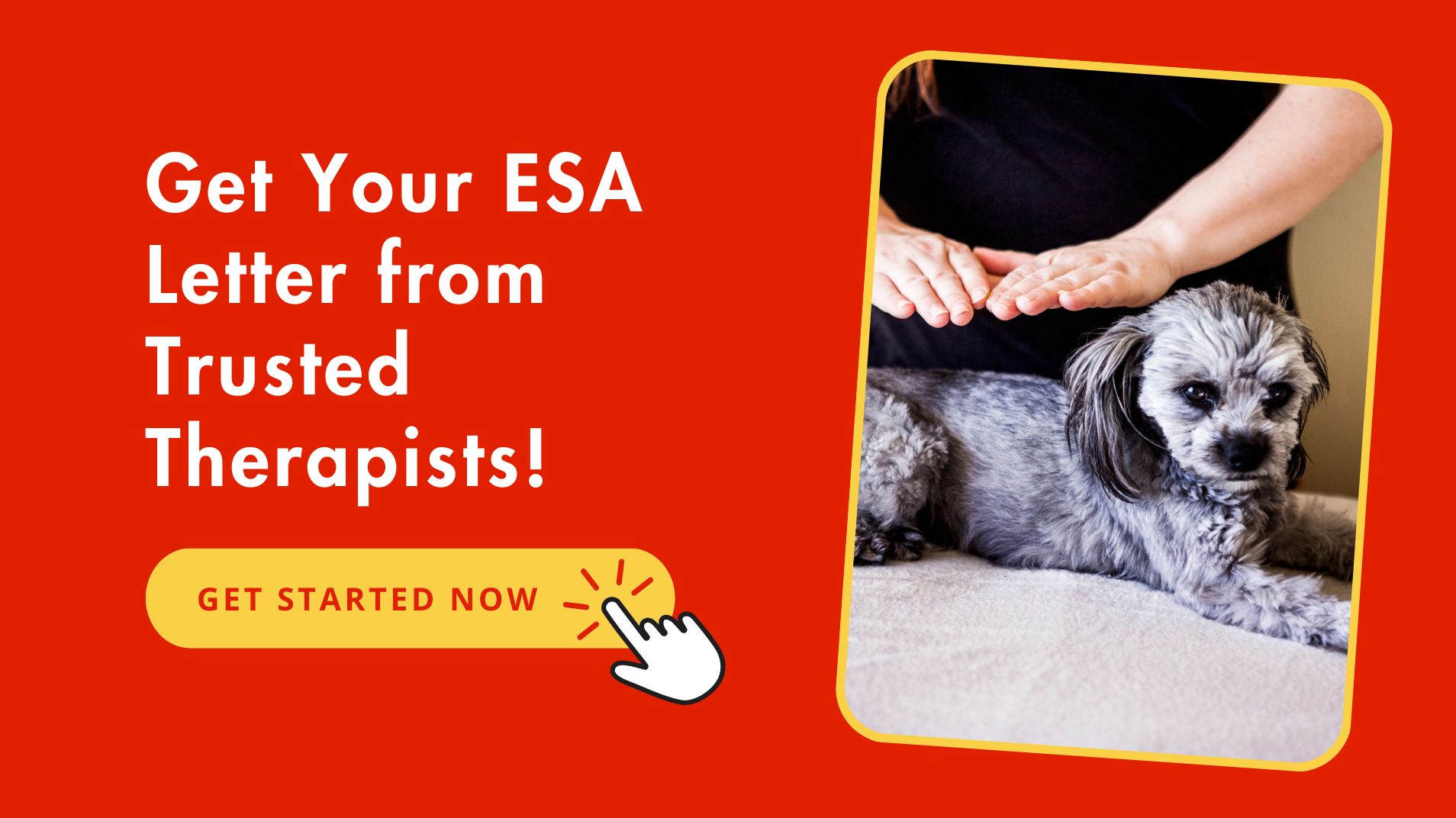 Legitimate ESA Letter From Fast ESA Letter Legitimate ESA Letter From Fast ESA Letter