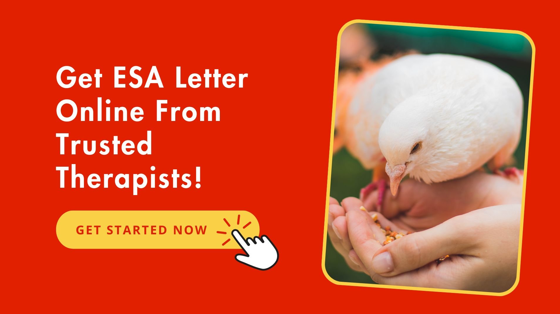 ESA Letter For Emotional Support Bird