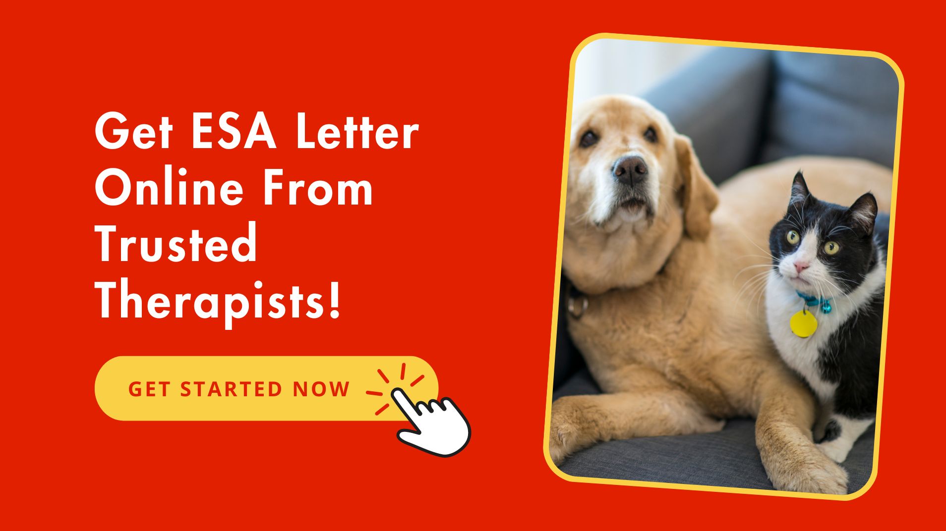 ESA Letter for Mulitple Emotional Support Animals