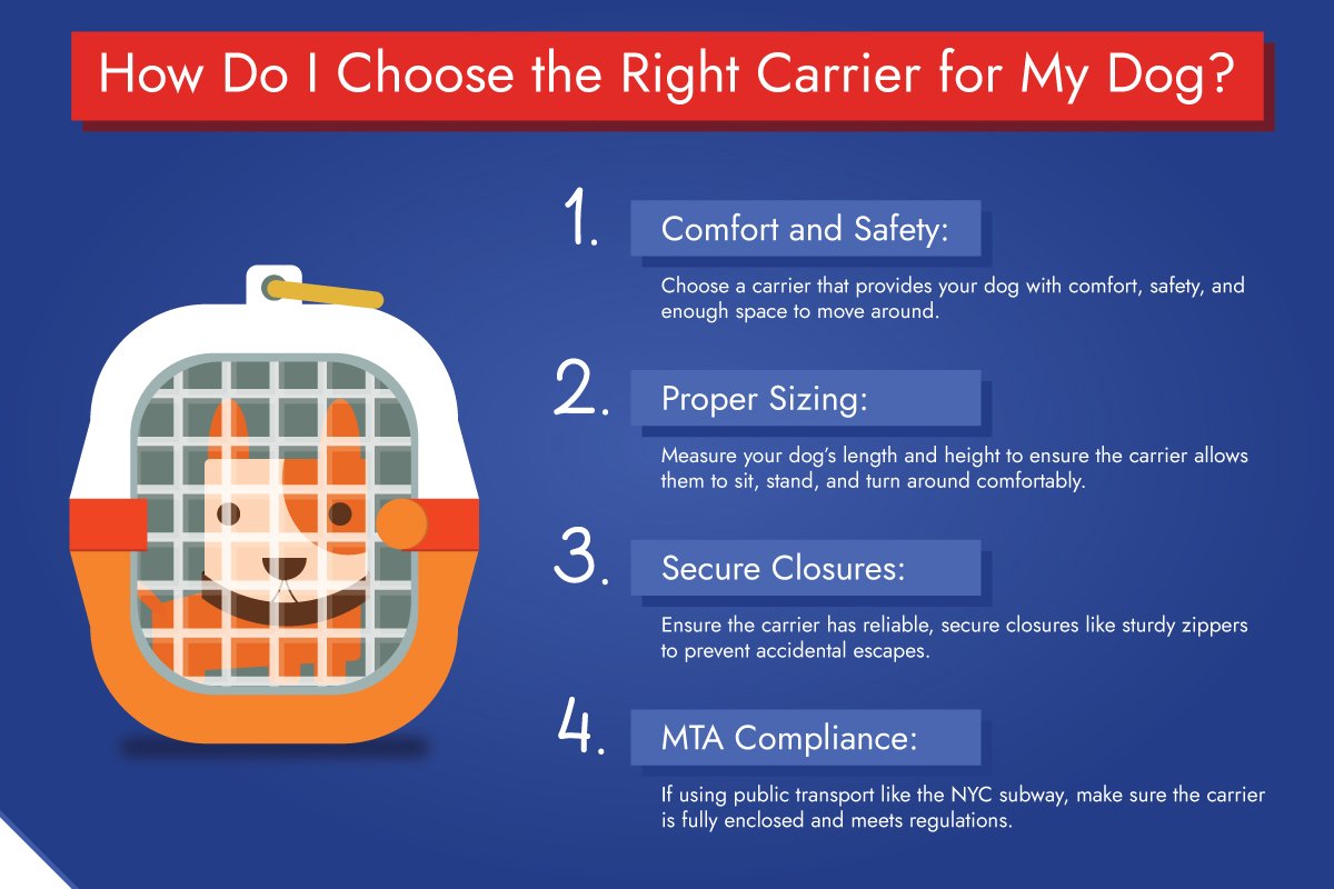 How to Choose the Right Carrier For Dog How to Choose the Right Carrier For Dog