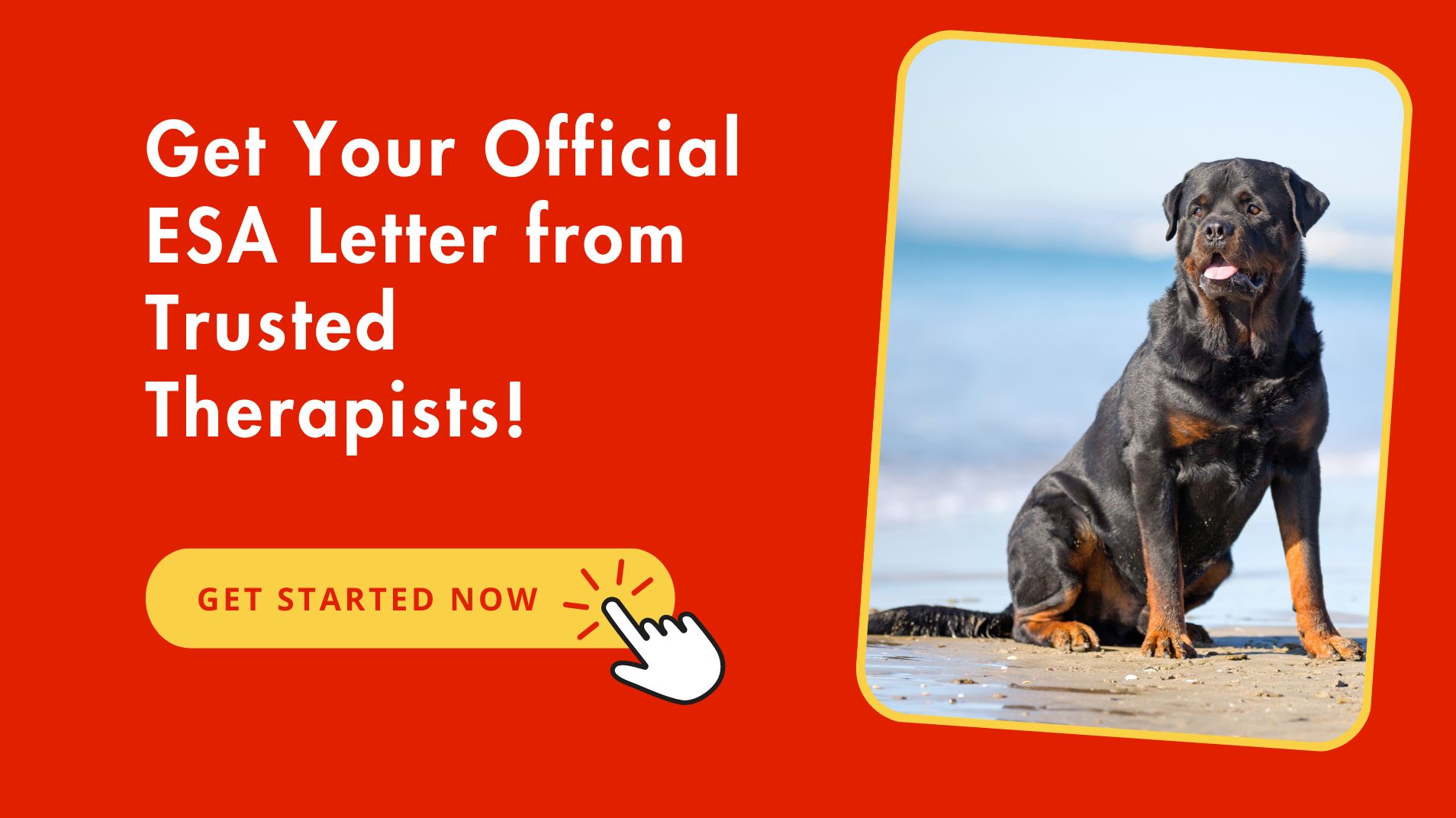Official ESA Letter For Rottweiler From Trusted Therapists