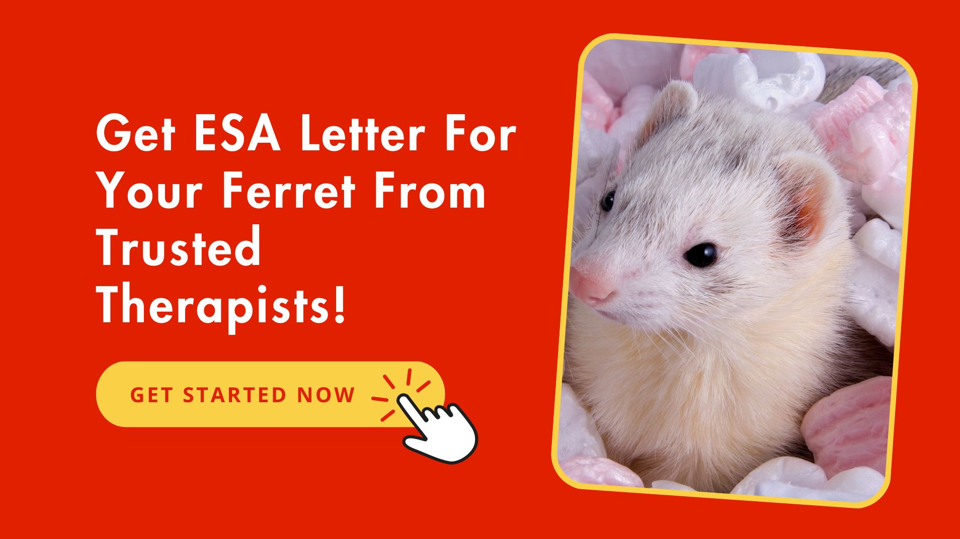 Get Official ESA Letter For Your Ferret