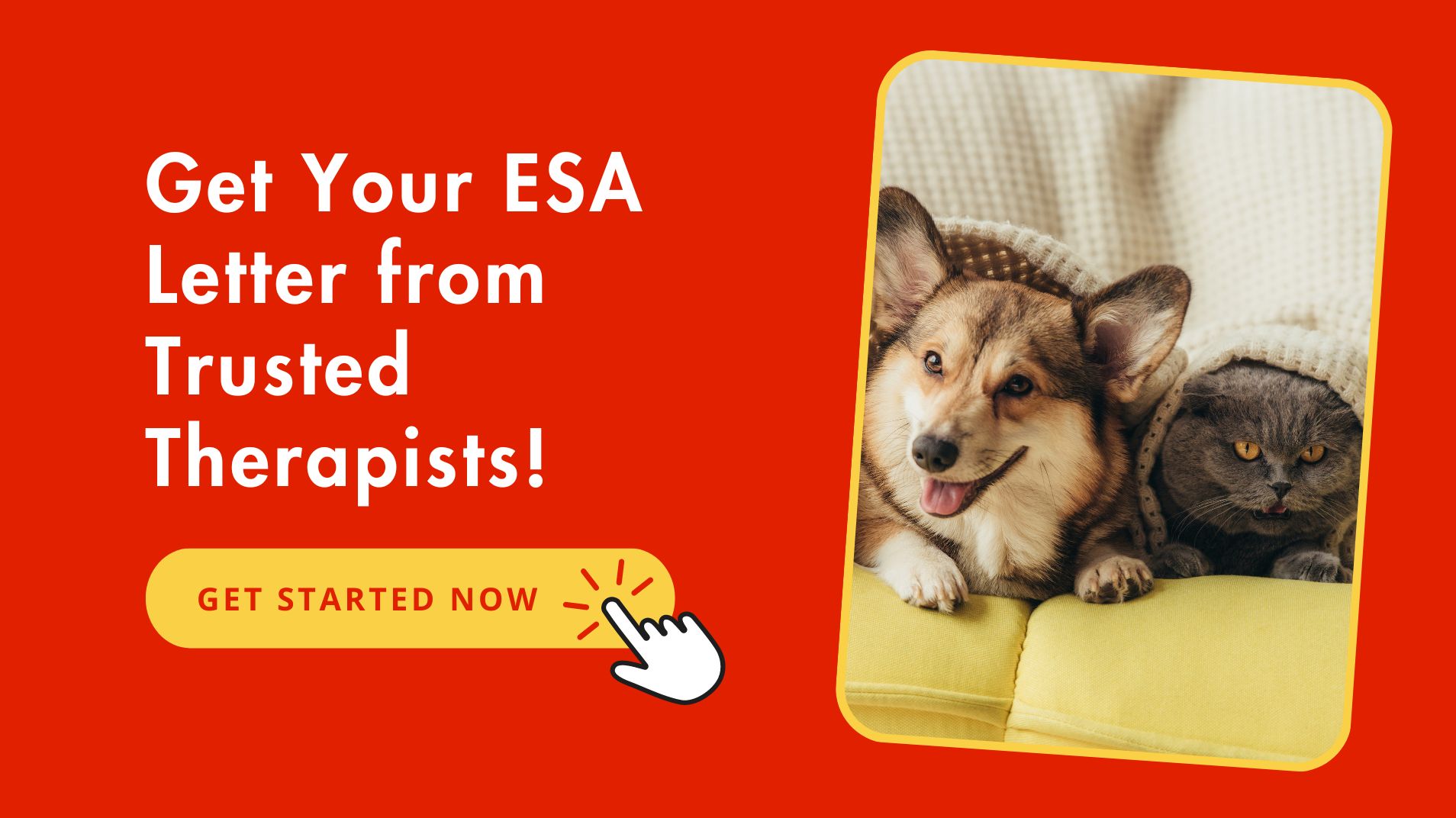 Get Official ESA Letter From Trusted Therapist