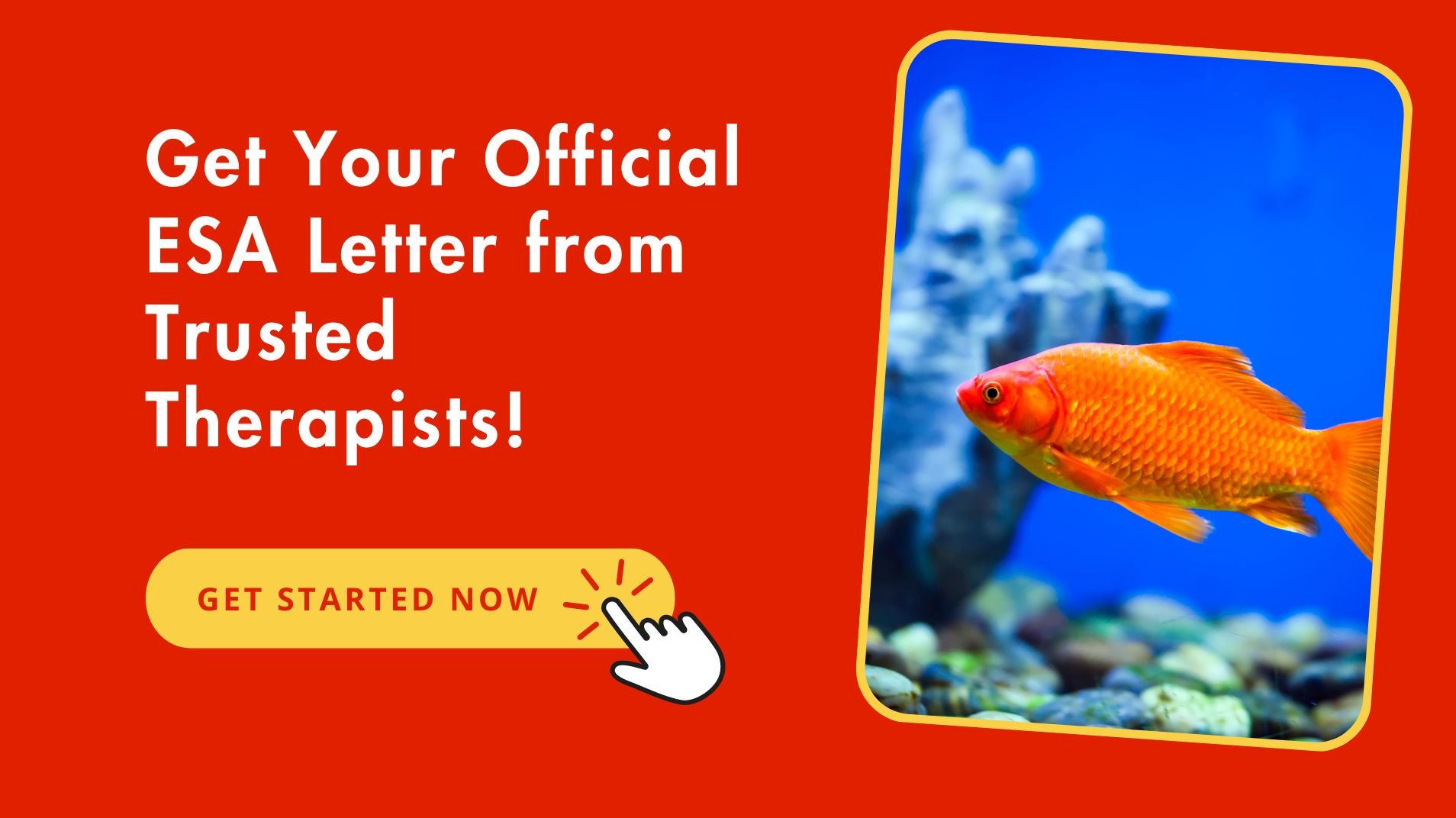 Legitimate ESA Letter For Fish From Trusted Therapists