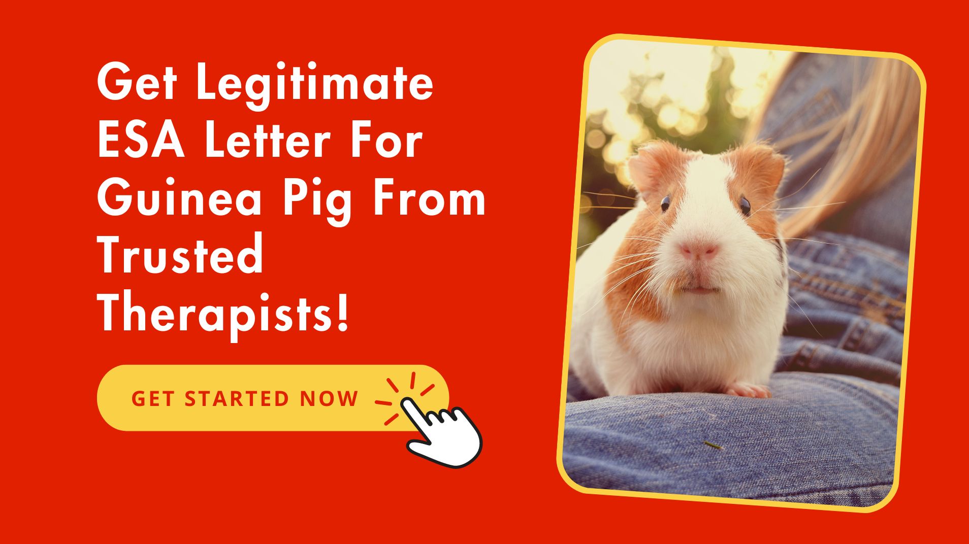 Legitimate ESA Letter For Guinea Pig