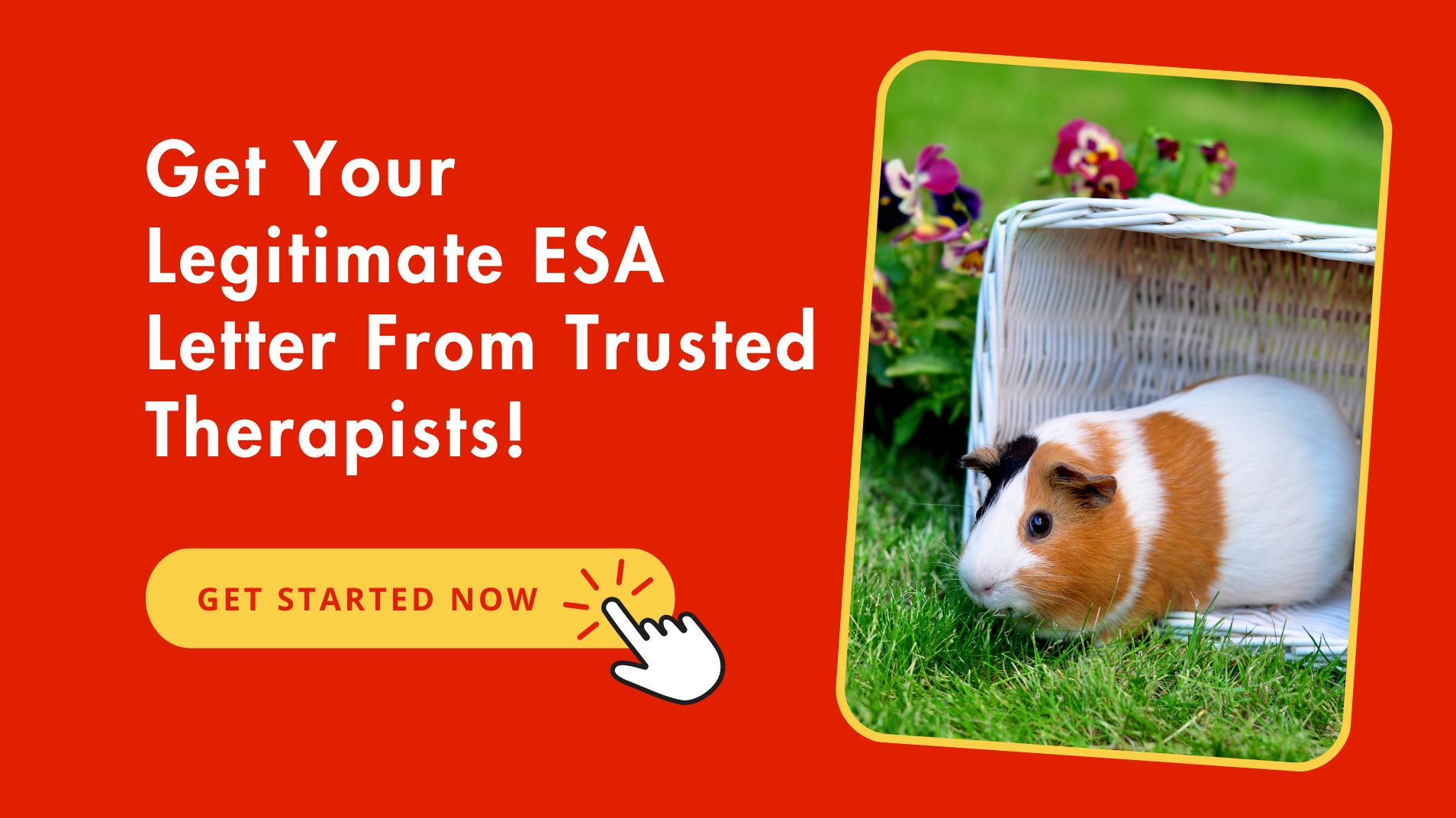Legitimate ESA Letter For Pig Emotional Support Animal