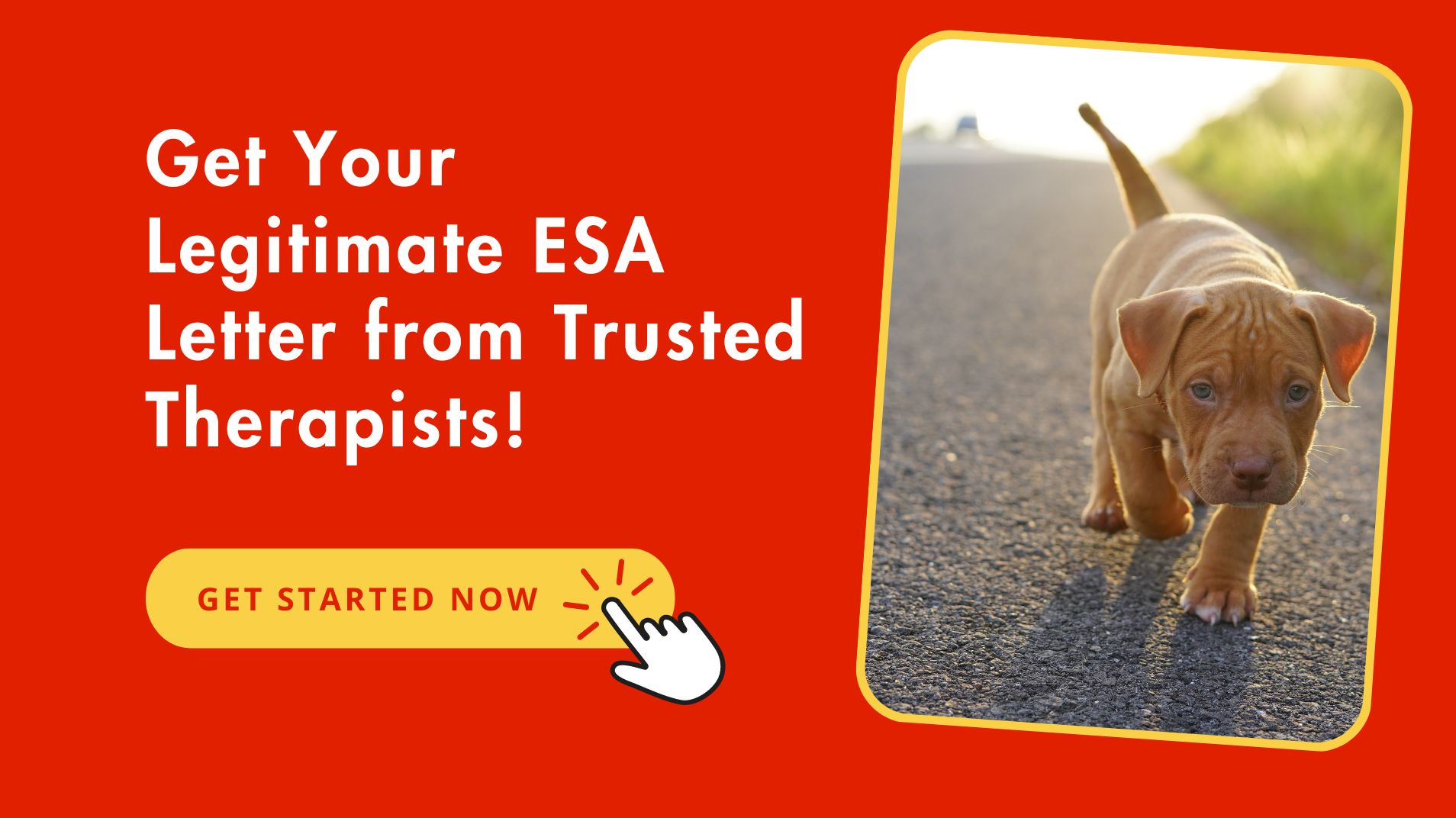 Legitimate ESA Letter For Pitbull From Trusted Therapists