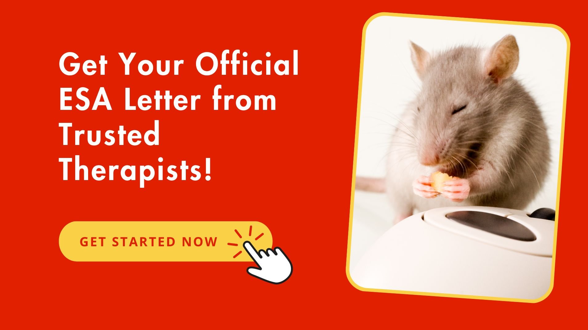 Legitimate ESA Letter For Rodents From Trusted Therapists