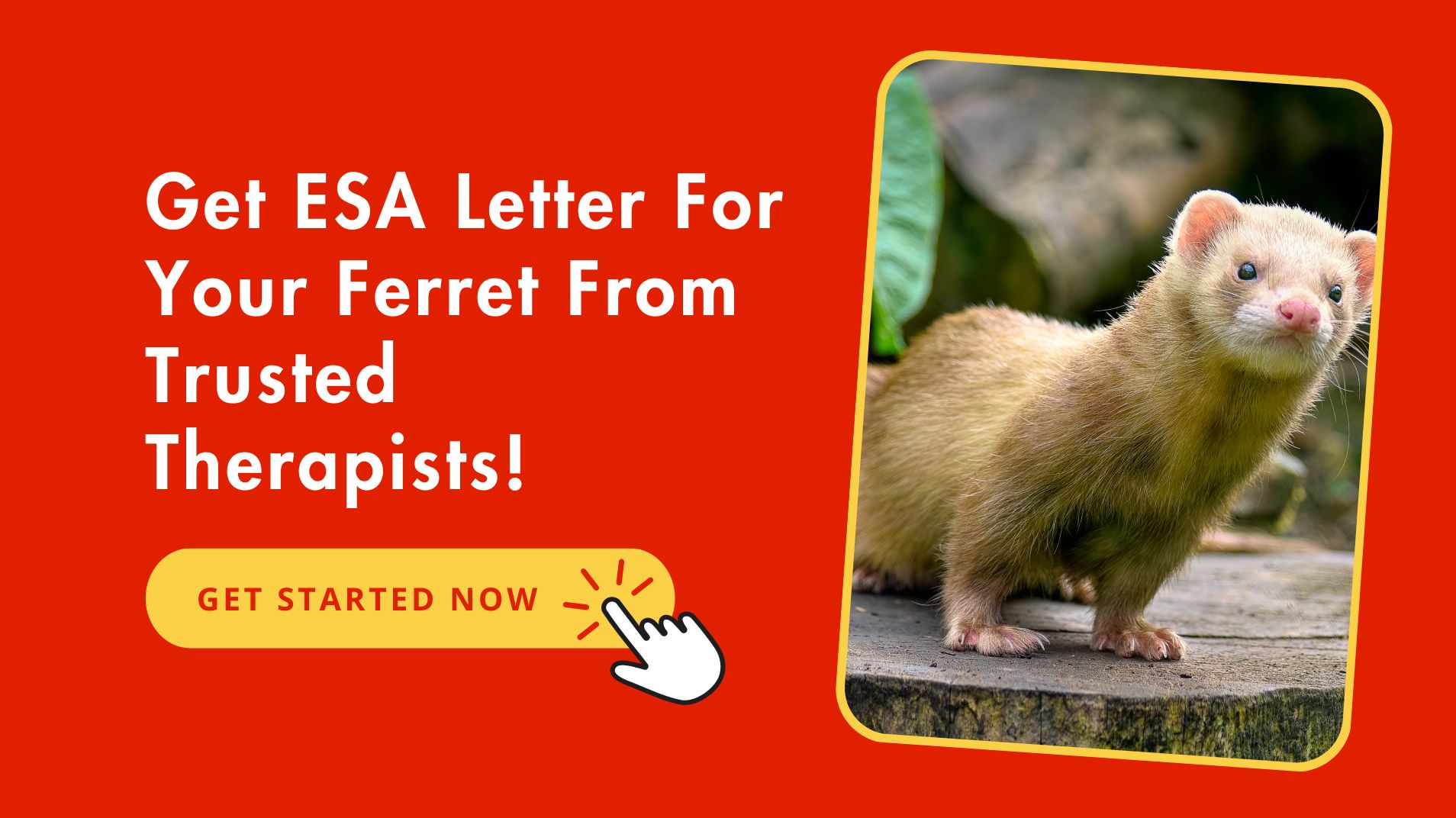 Legitimate ESA Letter For Your Ferret