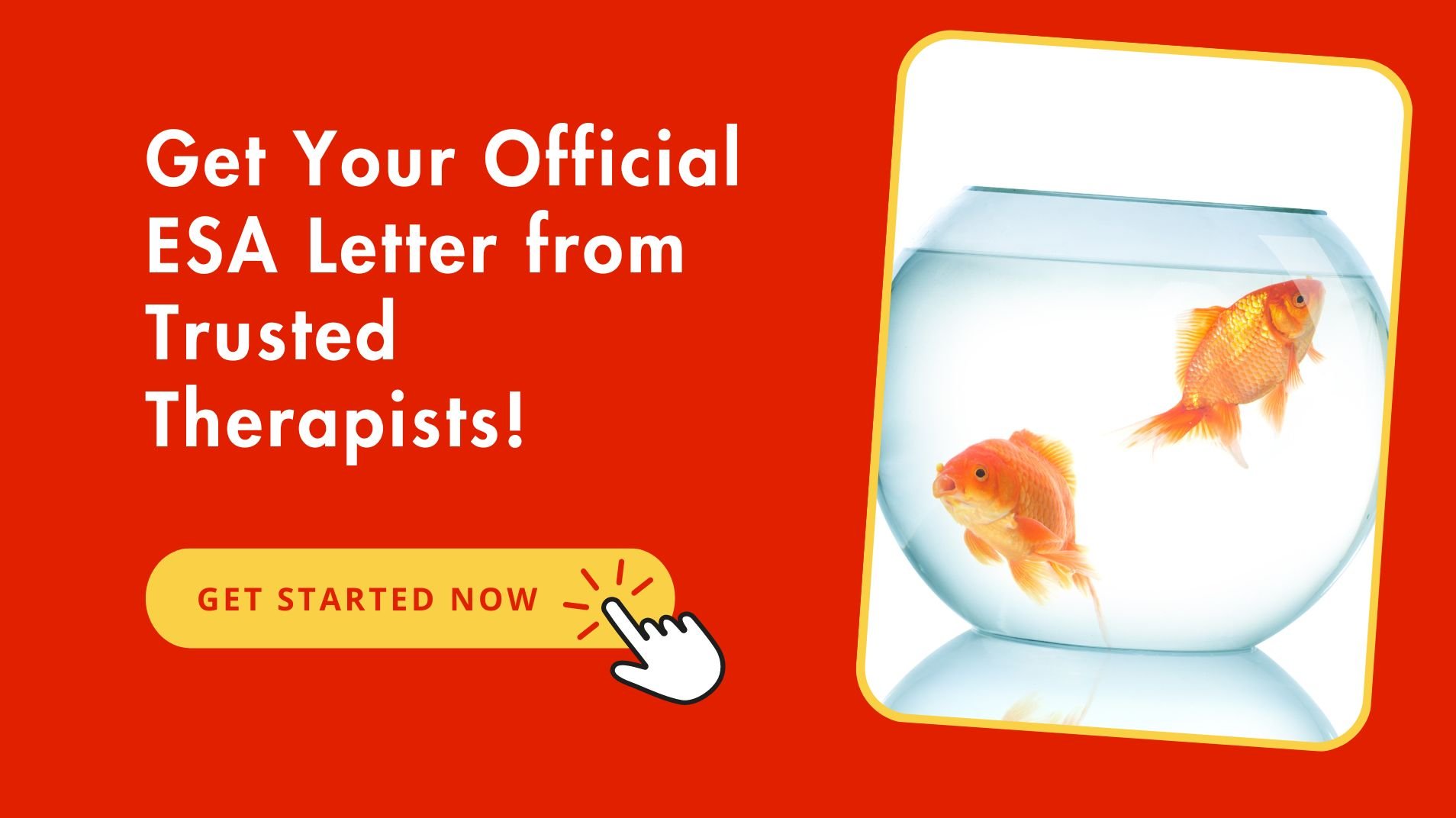 Official ESA Letter For Fish From Trusted Therapists