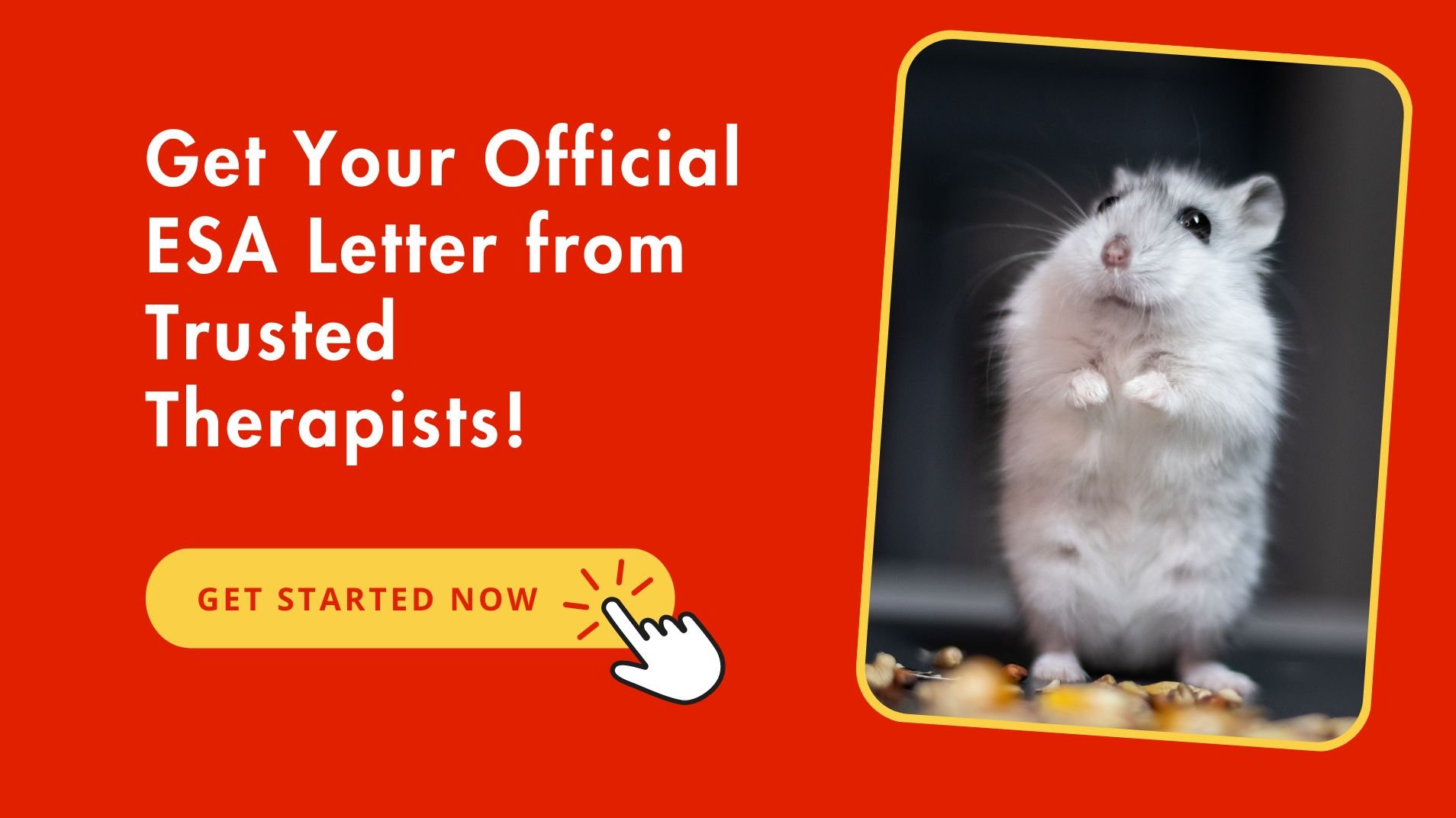 Official ESA Letter For Rodents From Trusted Therapists