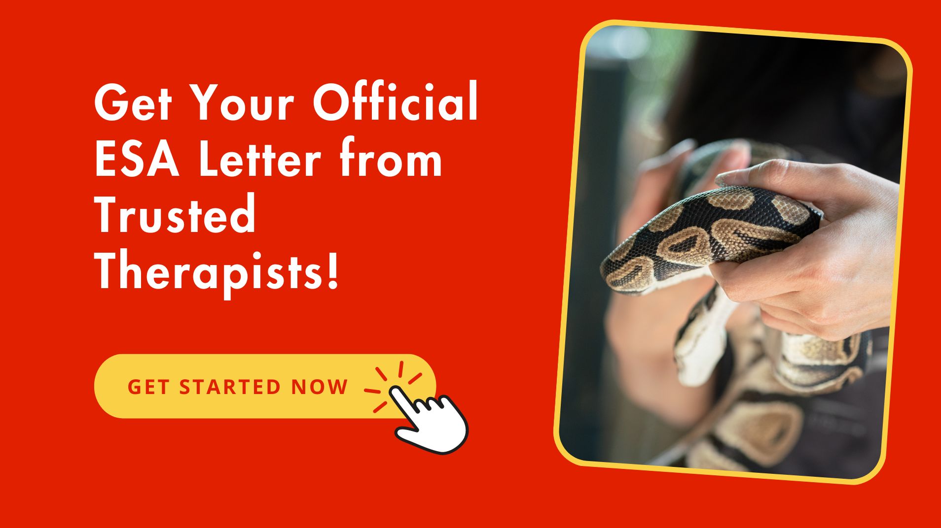 Official ESA Letter For Snake From Trusted Therapists