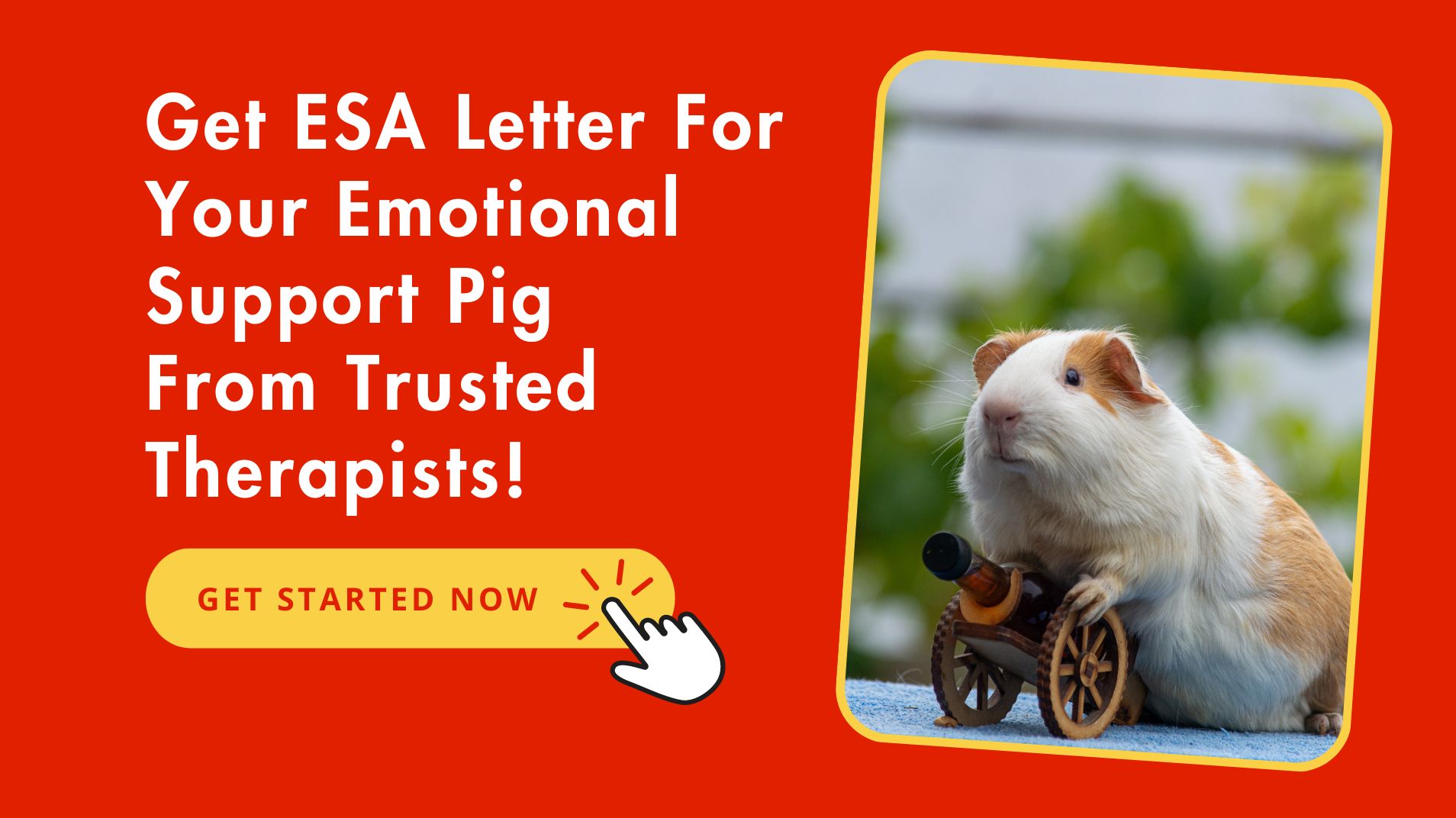 Official ESA Letter For Your Emotional Support Pig