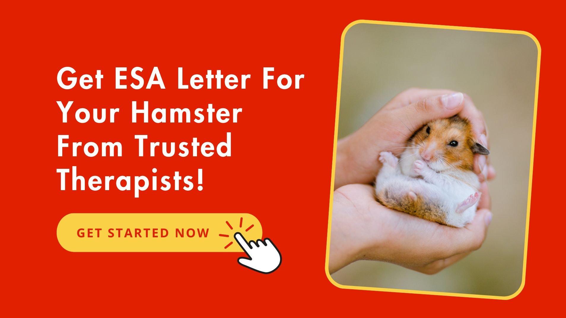 Official ESA Letter For Your Hamster