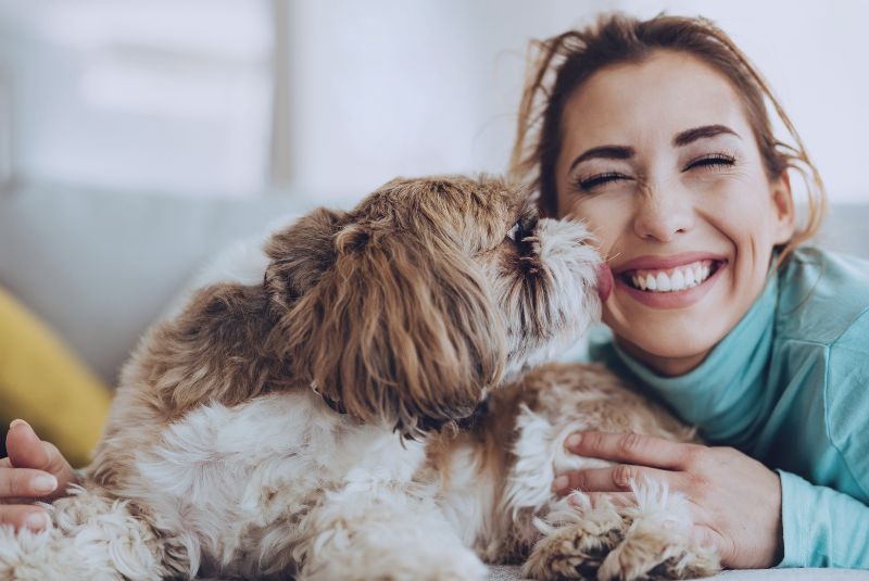 Texas ESA Laws for Apartments and Rentals: Your Complete Guide