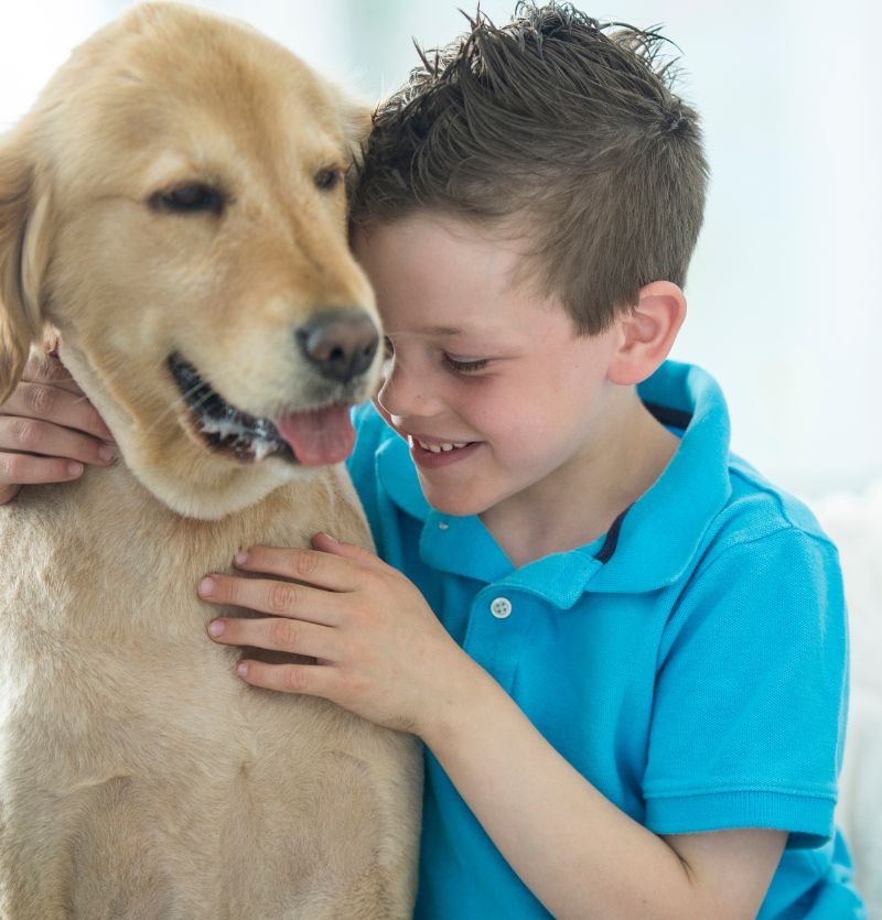 Boy hugging golden retriever Boy hugging golden retriever