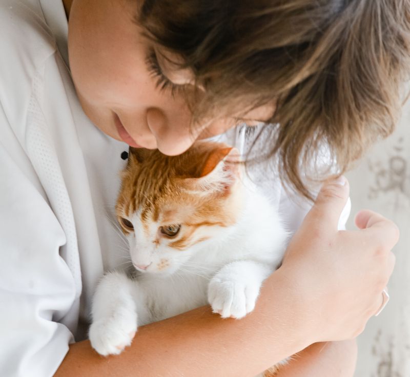 Child Hugging Cat