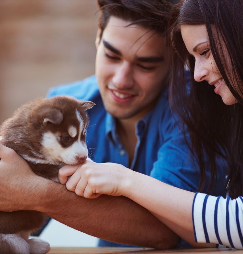Couple holding a puppy Couple holding a puppy