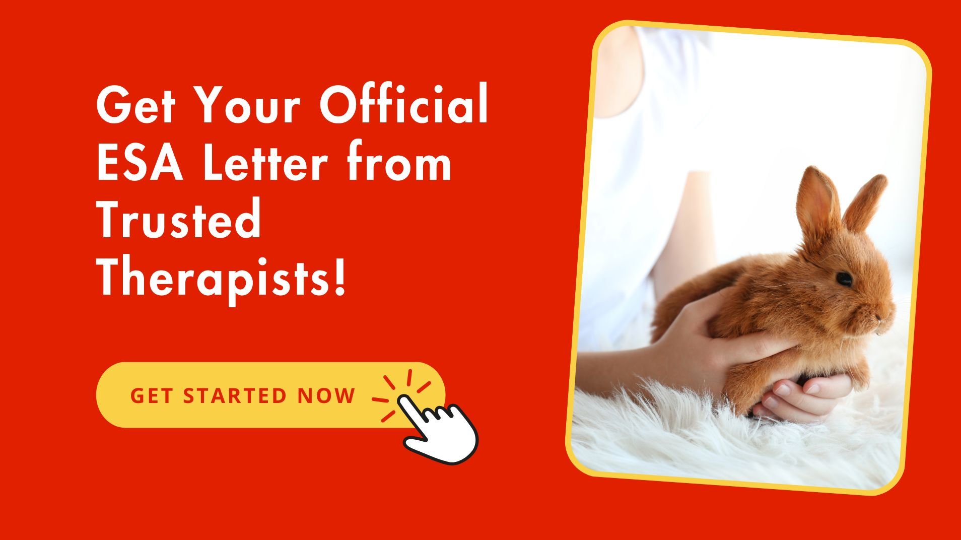 Official ESA Letter For Rabbit From Trusted Therapists